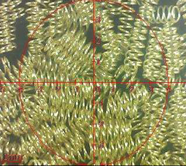 ROHS veerplating product Pogo pin testrapport: